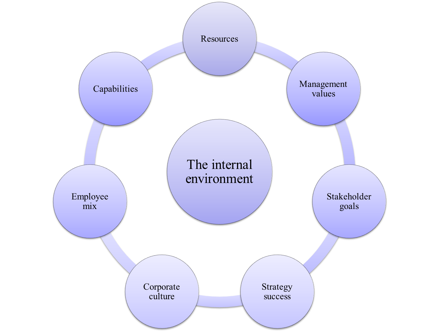 Internal Environment Factors